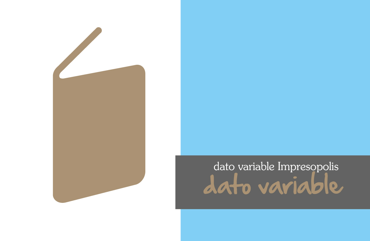 Las tecnicas de impresion con dato variable ( VDP - variable data printing / VIP - variable information printing ) en el Arte y Fotografia